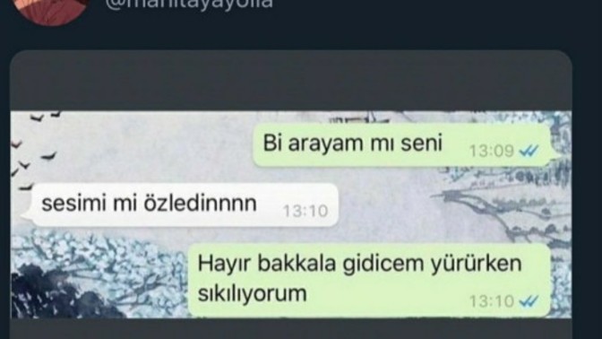 Bir yere giderken ya da  yürüyüş yaparken telefonla konuşma ihtiyacı hisseder miydiniz?