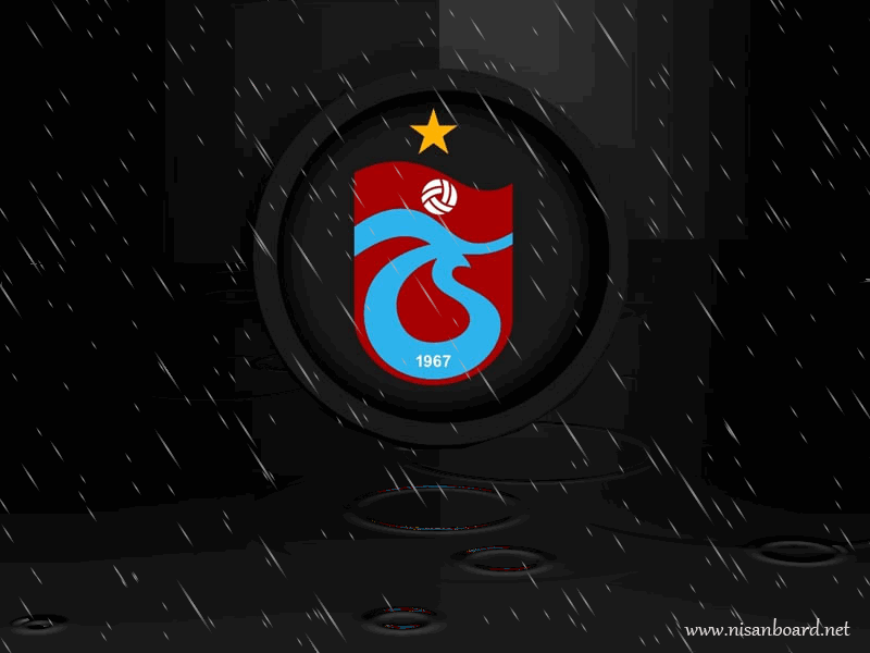 Kediler bir burç olsa hangi burç olurdu😃?