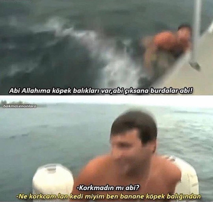 kedi miyim