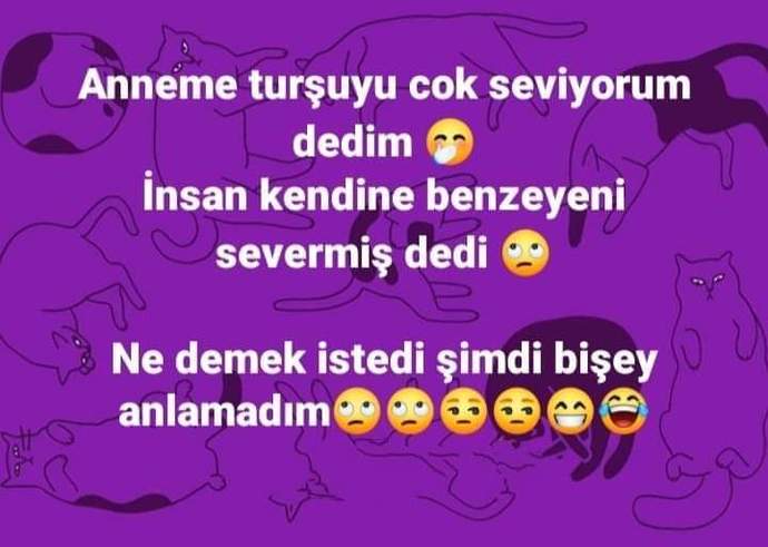Aileniz size turşu benzetmesi yapıyor mu?