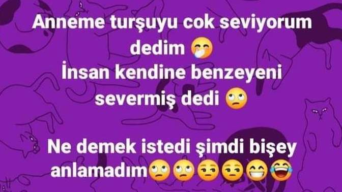Aileniz size "turşu benzetmesi" yapıyor mu?