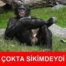 İnsanlar sizi seviyor mu?