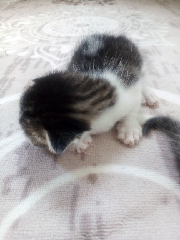 Bebeklerim tatlı mı 😍?