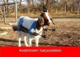 Foto mu yorumlasam ne?