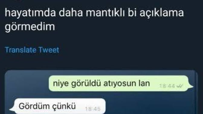 Mesajlarınıza görüldü atılması mı daha sinir bozucu, hiç cevap verilmemesi mi?