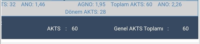 Ortalamam 1.95de kaldı. Hocaya ek puan için mesaj attım cevap vermedi. Tekrar yazayım mı?