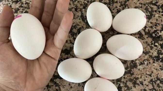 Acıktığınızda en pratik ne hazırlıyorsunuz?