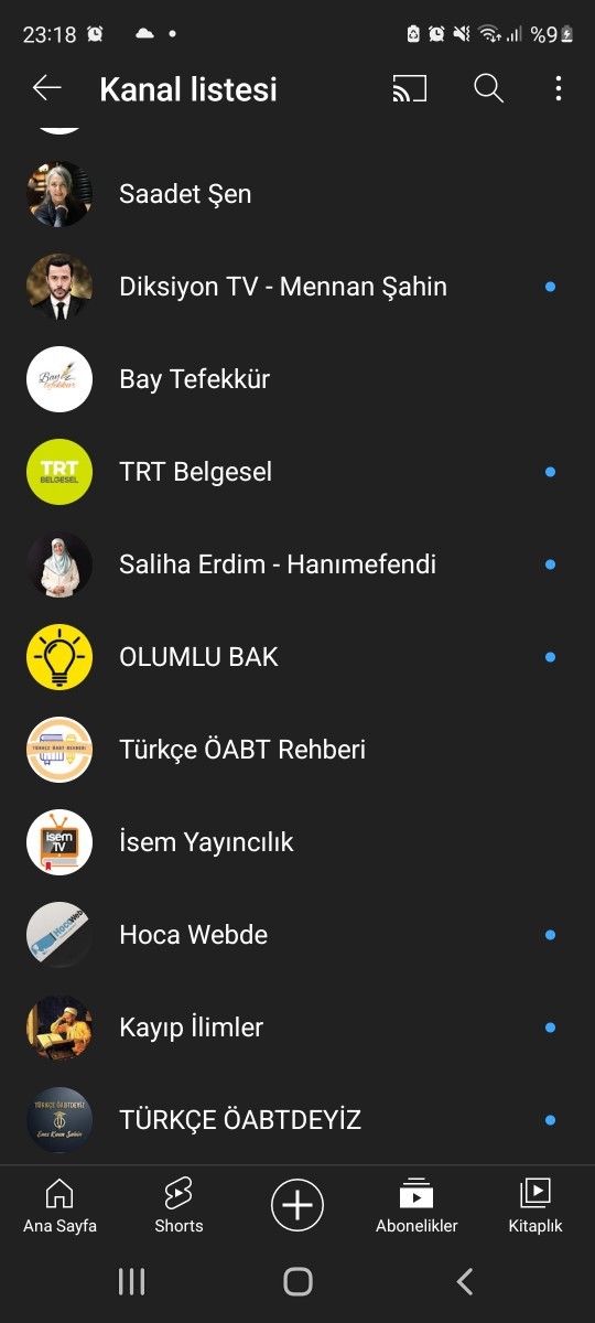 Takip ettiğiniz youtube kanalları nelerdir?