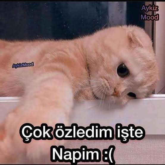 Gidene gitme demek hata mıdır?
