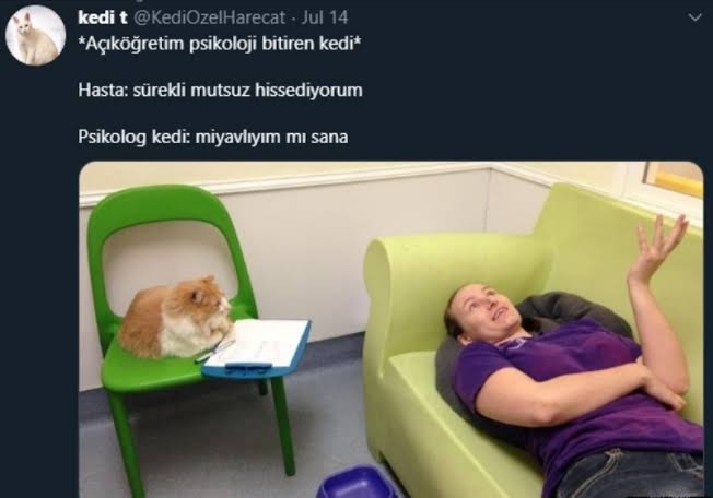 İnsanlar şeytan aratmıyor.. 🦁