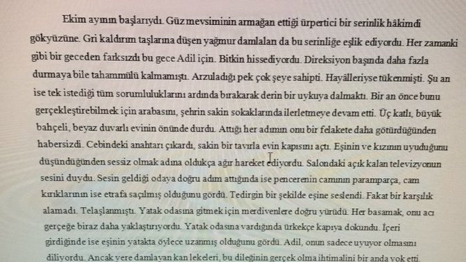 Bu polisiye hikayenin başlangıcı nasıl olmuş?