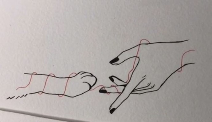 🐾