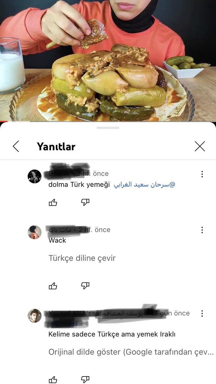 Dolma nerenin yemeği sizce?