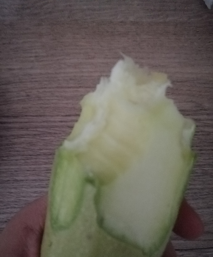 Haklı mıyım KS nin çıtırları?