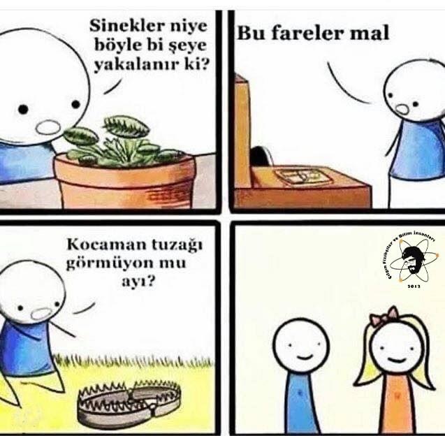 Aşk hakkında ne düşünüyorsunuz?