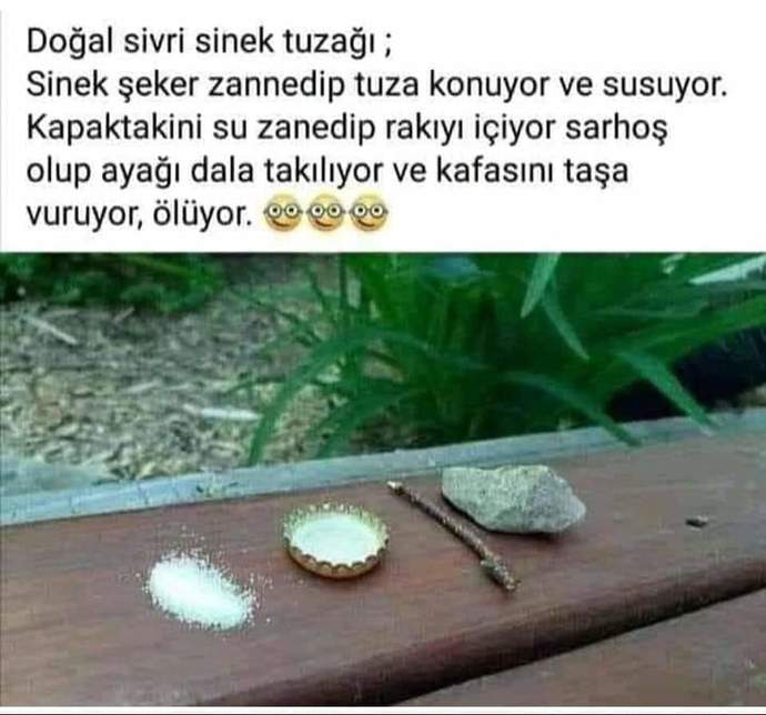 Sivrisinekler çıktı mı sizin oralarda?