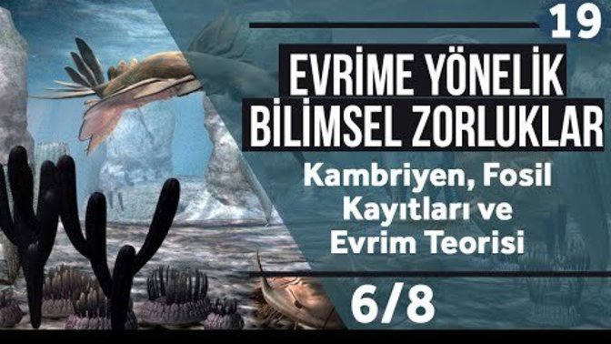Evrim teorisi bilimle çelişiyor mu?