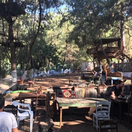 Kampa yazılayım diyorum, kaç günlük oluyor?