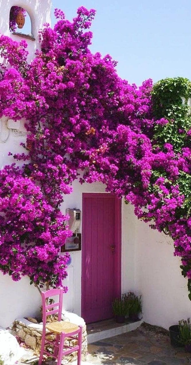 Ben tam olarak istediğim şehirdeyim.. 🌺