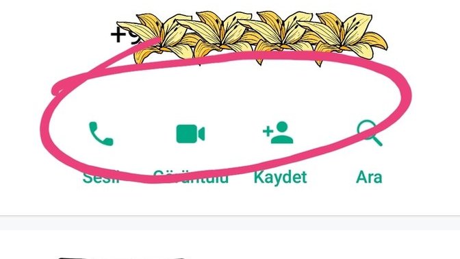 Numaramı Silmiş Olabilir Mi?