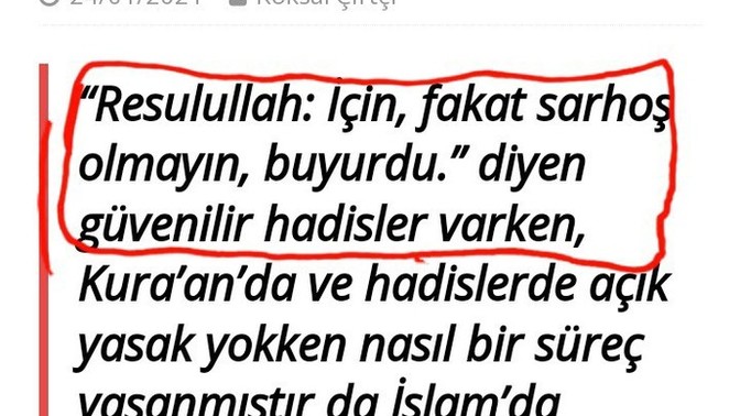 Bu doğru mu? Gerçekten öyle ayetler var mı? Ayrıca, yanlışsa Allah affetsin, ama Peygamber Efendimiz de hamr ( şarap ) içmiş mi?