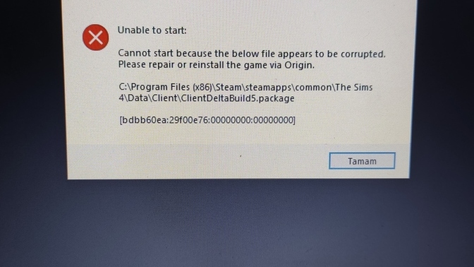 Sims 4 hata veriyor?