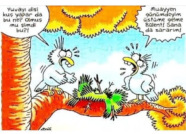 Bildiğiniz regl dönemi hurafesi var mı?