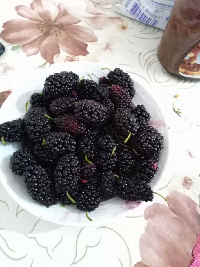😋