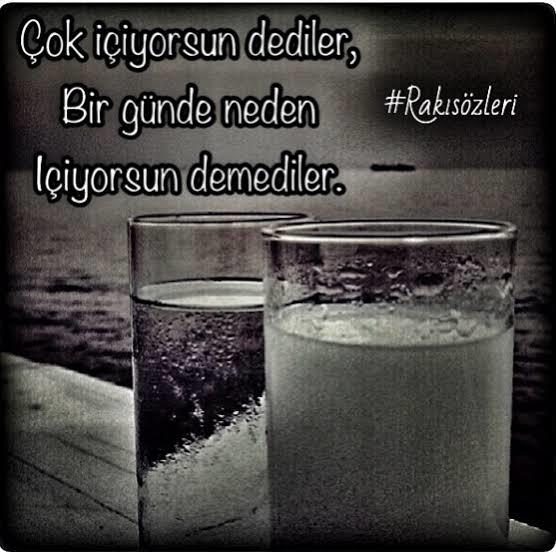 Sorgusuz yargılayanlar rakı şişesi girsin size :)