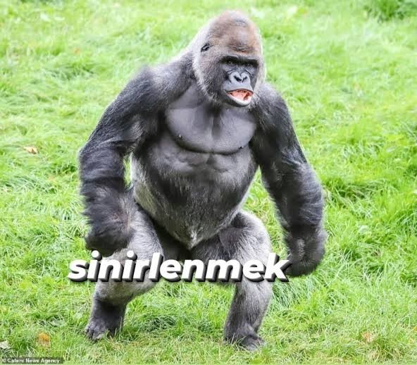 Pazar modun nasıl?