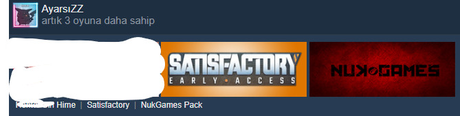 Steam yaz indirimlerinden faydalandınız mı?