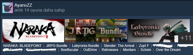 Steam yaz indirimlerinden faydalandınız mı?