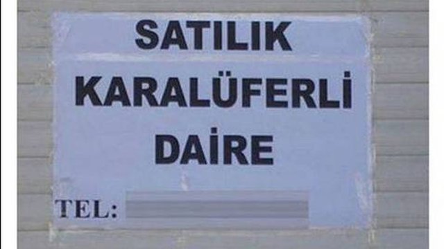 En nefret ettiğiniz yazım yanlışı hangisidir?