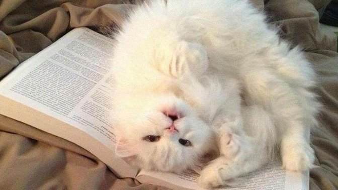 Bazen kitap okurken sizede tatlı bir uyku hali geliyor mu?