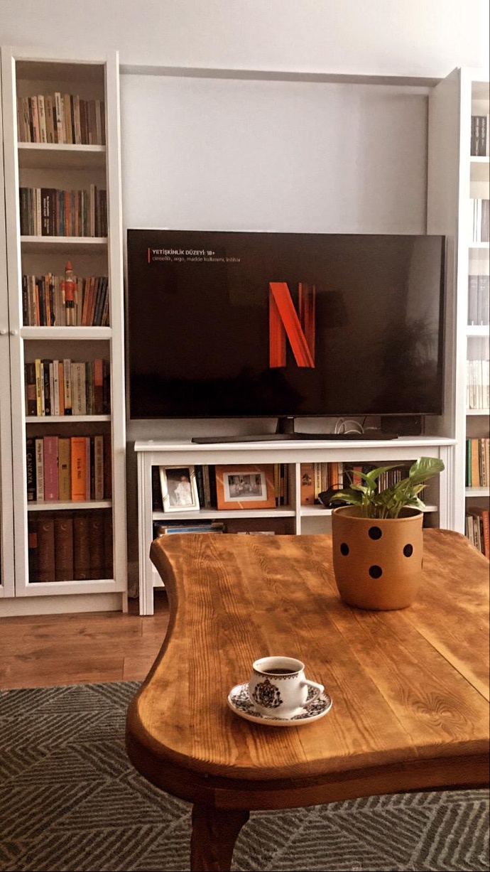 Netflix dizi önerisi olan var mı?