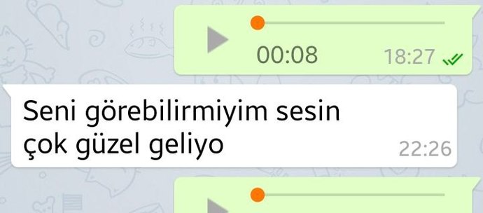 Görüntülü sanal sekste ne yapılır?