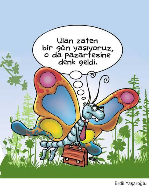 Pazartesiyi Tek Cumlede anlatsaniz Cümleniz Ne Olurdu?