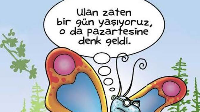 Pazartesiyi Tek Cumlede anlatsaniz Cümleniz Ne Olurdu?
