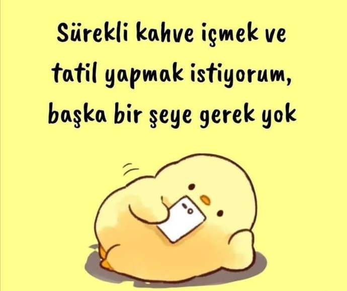 Sizin şu aralar neye ihtiyacınız var?