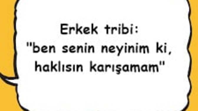 Bir erkek tribi söyle :D?
