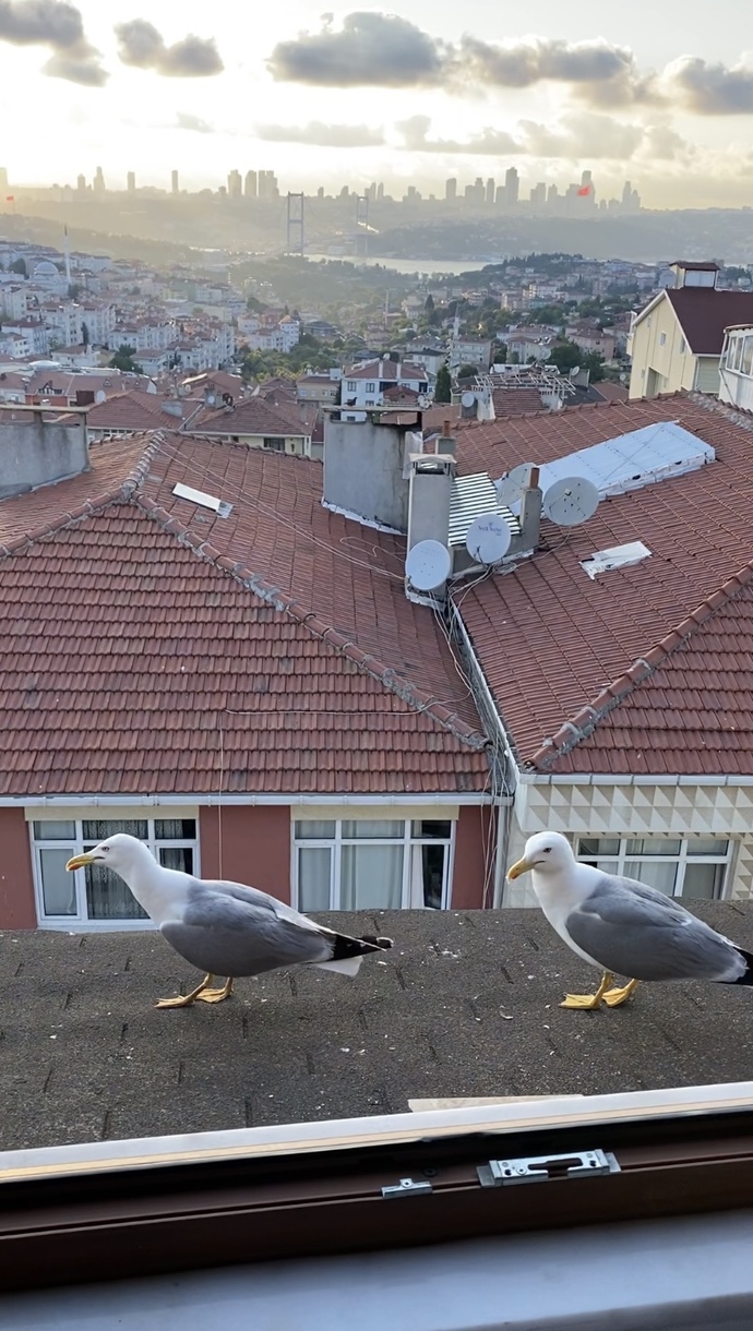 Şu an ne yaptığınızı benimle paylaşmak ister misiniz?