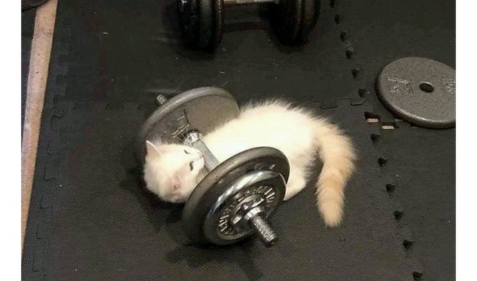 Yapmayı en basit bulduğunuz spor nedir?