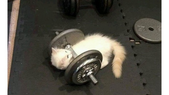 Yapmayı en basit bulduğunuz spor nedir?