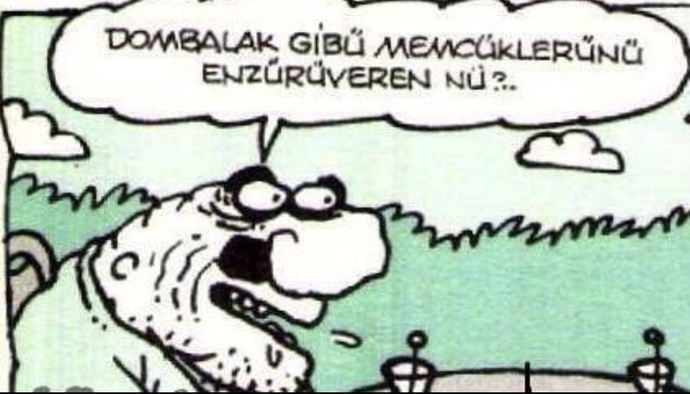 Sizce sevişmeli miyim?