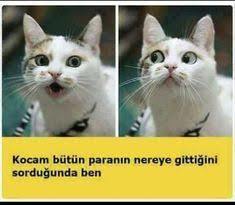 Cok tatli ama sbxbbcbc