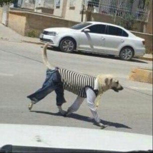 Güne bir görsel bırakır mısın?