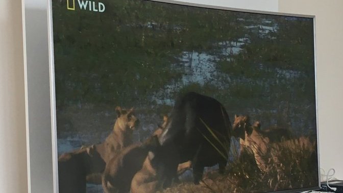 Sitede film izlediğiniz biri oldu mu?