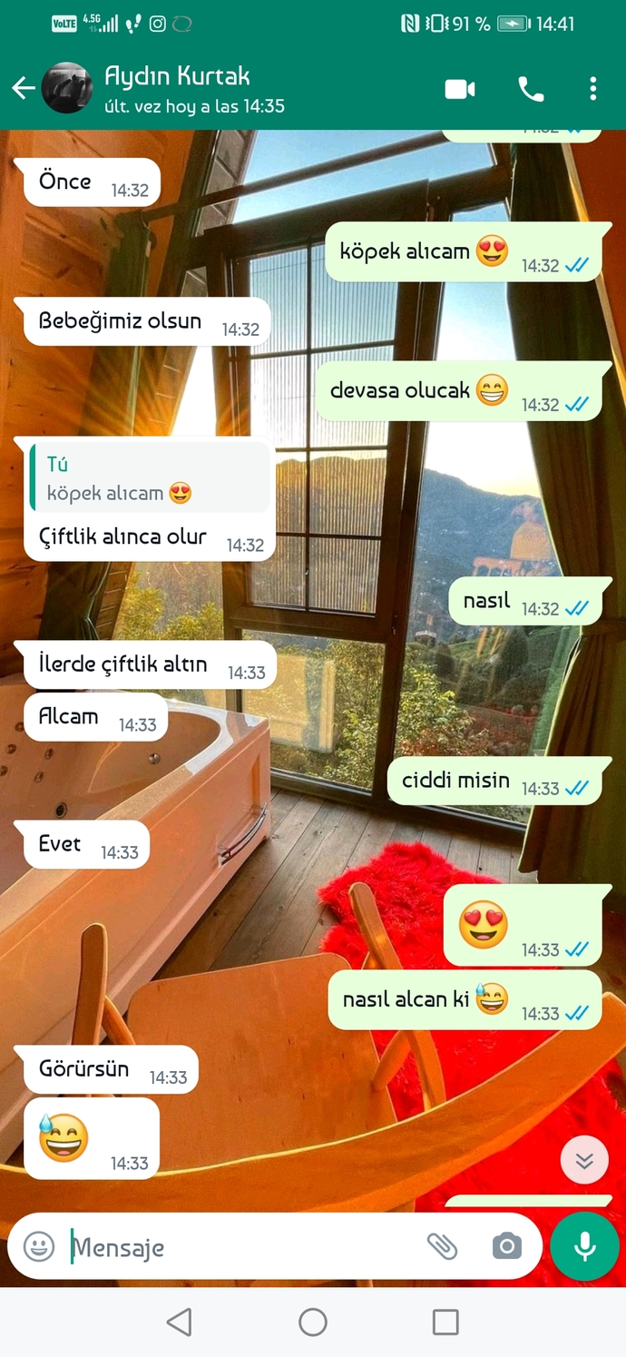 Sevgilime evlenince köpek beslemek istediğimi söyledim önce bebeğimiz olsun dedi ama ne alaka ki yani?