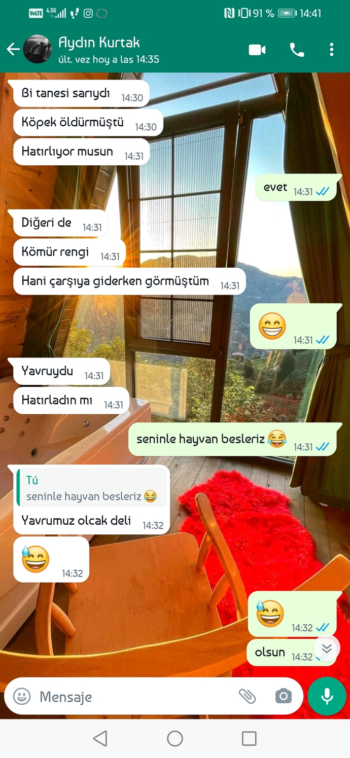Sevgilime evlenince köpek beslemek istediğimi söyledim önce bebeğimiz olsun dedi ama ne alaka ki yani?