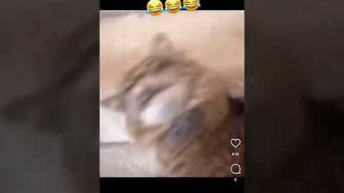 Son zamanlarda en çok hangi konu hakkında konuşur oldunuz?